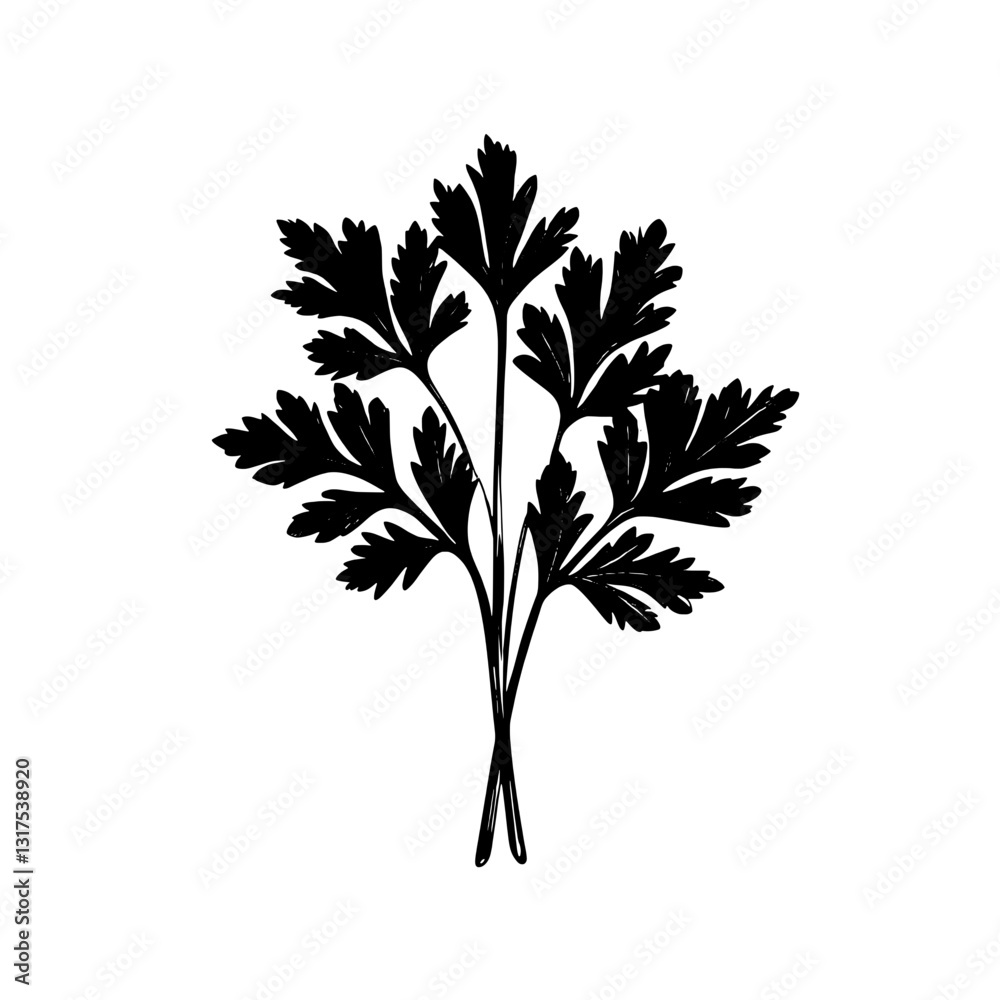 Fototapeta premium Elegant vector illustration of detailed parsley leaves showcasing nature's beauty and culinary charm in a monochromatic design