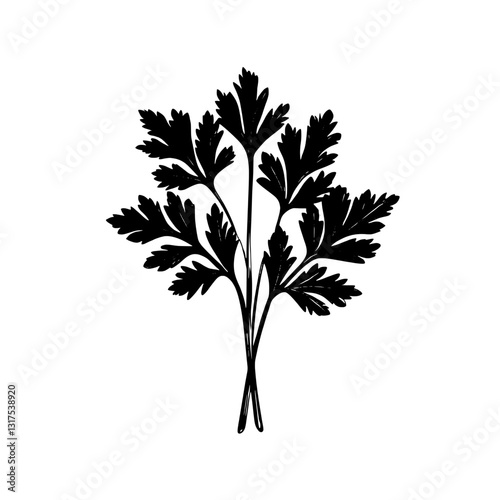 Elegant vector illustration of detailed parsley leaves showcasing nature's beauty and culinary charm in a monochromatic design