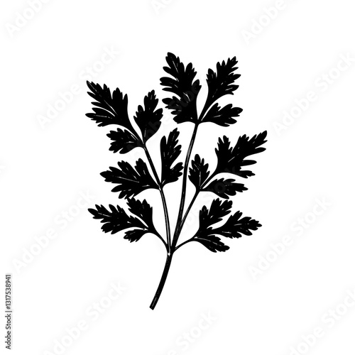 Elegant silhouette of parsley leaves showcasing nature’s beauty in intricate detail against a crisp backdrop