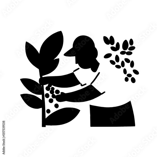 Harvesting coffee beans in a vibrant plantation surrounded by lush greenery and picturesque mountains during a sunny day