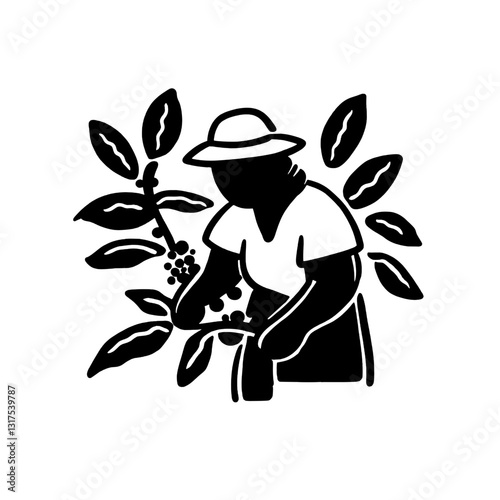 Harvesting coffee beans in tropical fields with dedication and care