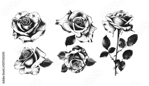 Y2K roses, grunge stippling texture, messy grain flower heads, trendy aesthetic vector, t-shirt print, sweatshirt design, poster illustration, floral art, creative vector design
