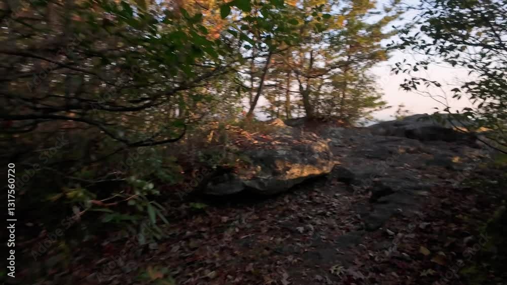 Drone Flight Through Buffalo Mountain dark Forest Trail USA drone captures scenic yet dark forest trail on Buffalo Mountain, USA, with rugged rocks, dense trees warm sunlight filtering through foliage Drone Flight Through Buffalo Mountain dark Forest Trail USA drone captures scenic yet dark forest trail on Buffalo Mountain, USA, with rugged rocks, dense trees warm sunlight filtering through foliage