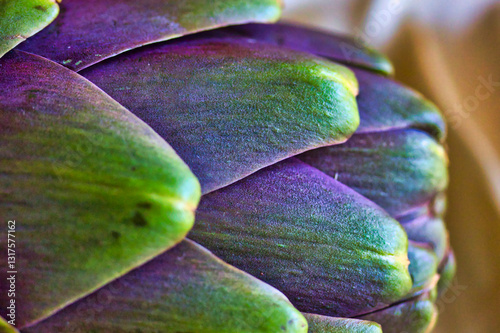 Cute close up of a purple artichoke