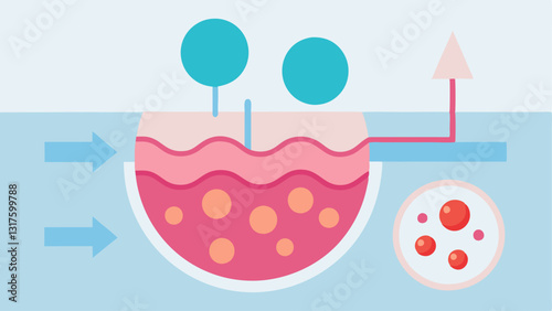 Skin Barrier Repair A simplified diagram showing how exosomes and nanotechnology trate the skin barrier to repair and rejuvenate from within.