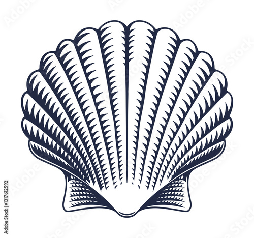Intricate shell design with detailed ridges