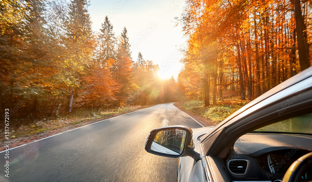 custom made wallpaper toronto digitalCar drive through road full of autumn leaves. Royalty high-quality free best stock of view from car, drives through scenic autumn forest with colorful trees, hands of car driver on steering wheel