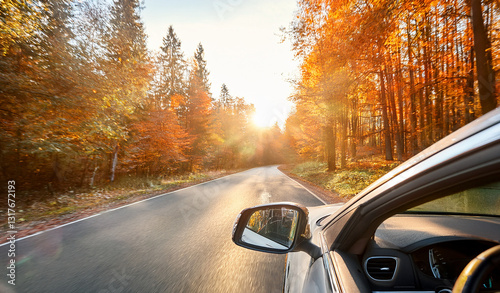 Wallpaper Mural Car drive through road full of autumn leaves. Royalty high-quality free best stock of view from car, drives through scenic autumn forest with colorful trees, hands of car driver on steering wheel Torontodigital.ca