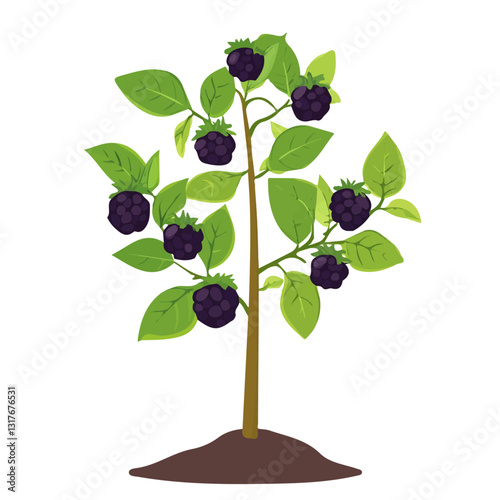 2D flat vector illustration Blackberry bush icon isolated on a white background.

