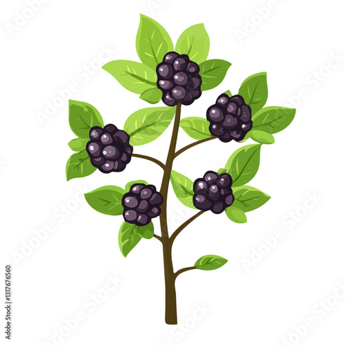 2D flat vector illustration Blackberry bush icon isolated on a white background.


