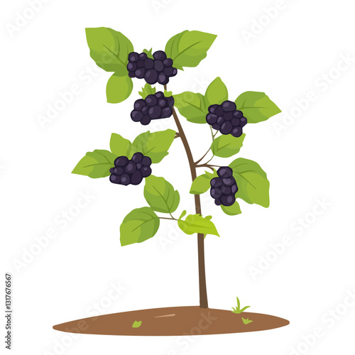 2D flat vector illustration Blackberry bush icon isolated on a white background.

