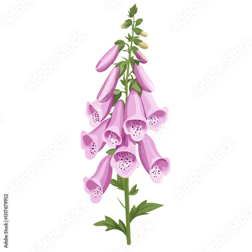 2D flat vector illustration Foxglove flower icon isolated on a white background.

