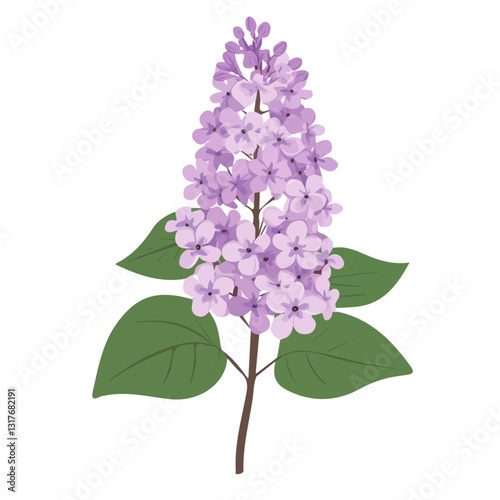 2D flat vector illustration Lilac Flower icon isolated on a white background.


