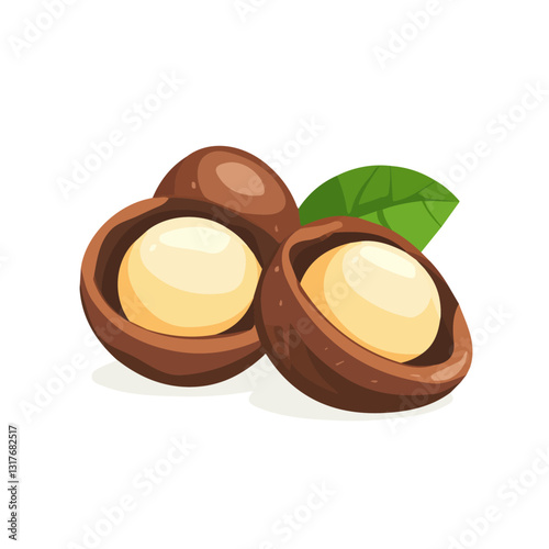 2D flat vector illustration Macadamia Nut icon isolated on a white background.

