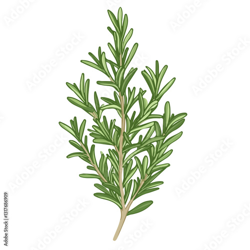 2D flat vector illustration Rosemary Plant icon isolated on a white background.

