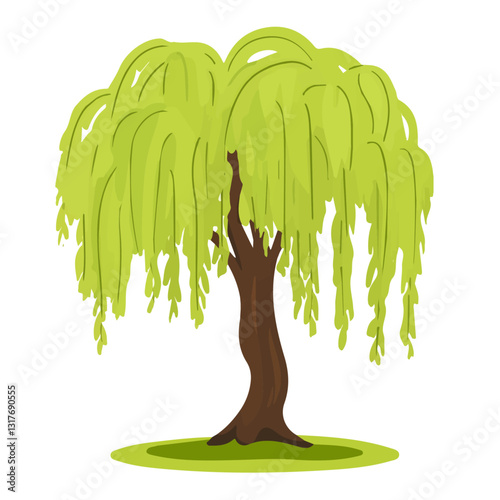 2D flat vector illustration Willow Tree icon isolated on a white background.

