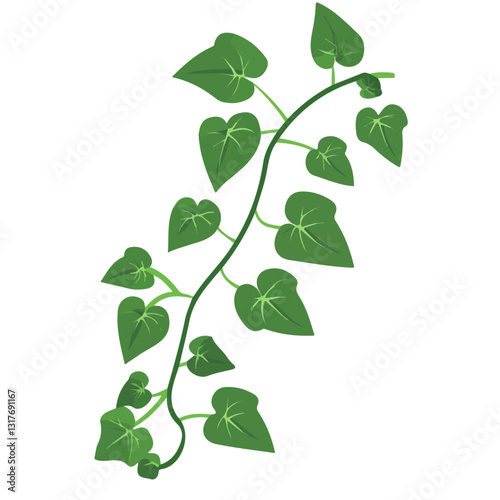2D flat vector illustration Ivy Vine icon isolated on a white background.

