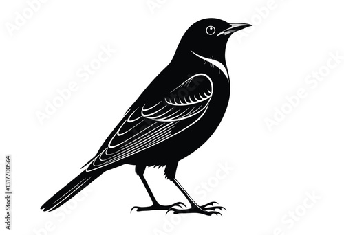 Black Silhouette vector design