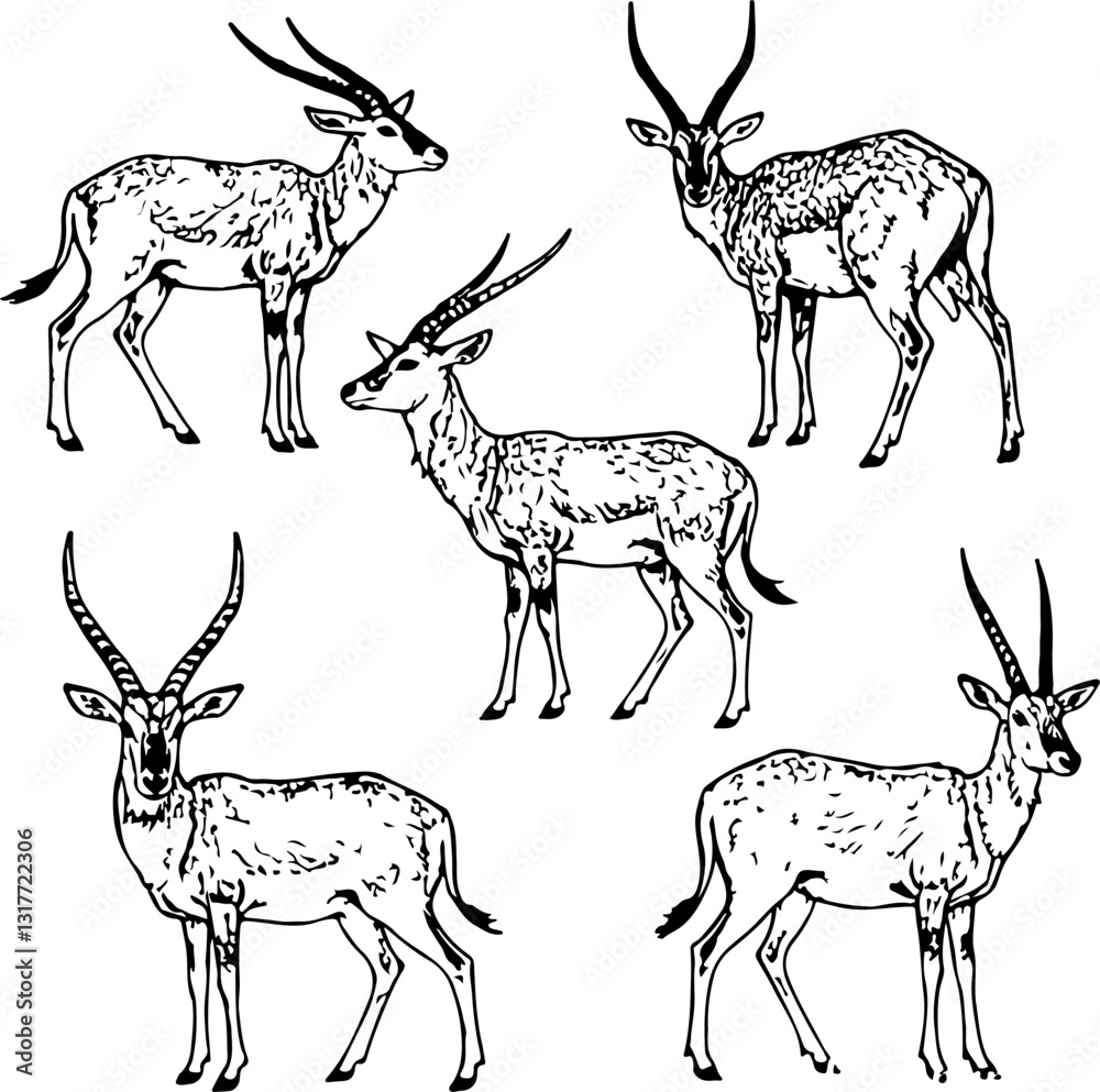 Naklejka premium abstract illustration of goat and sheep black and white vector line art