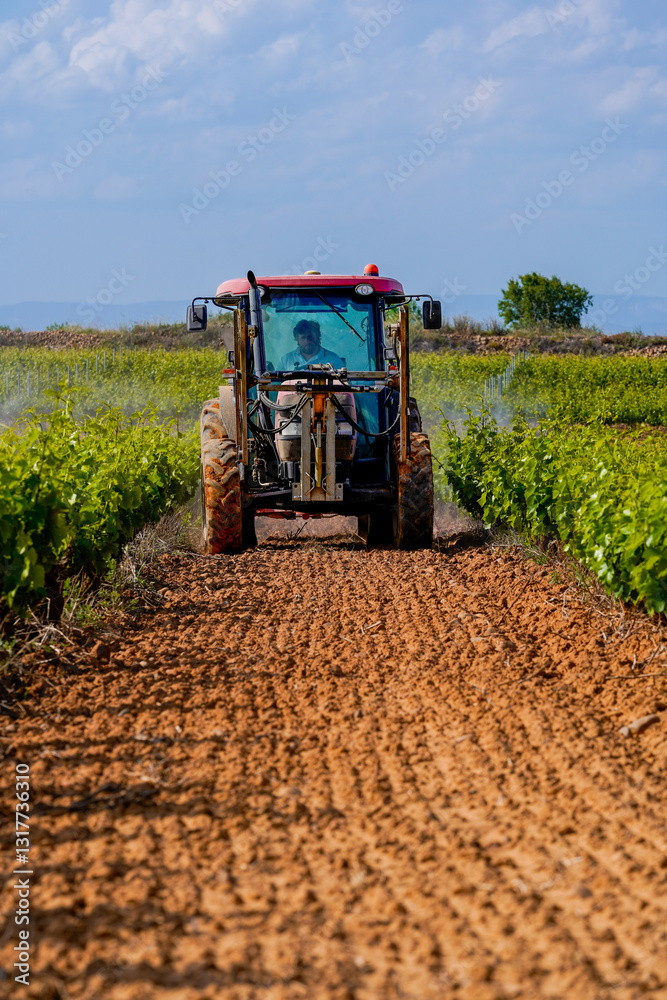 Fototapeta premium tractor spraying sulphate on the vineyard