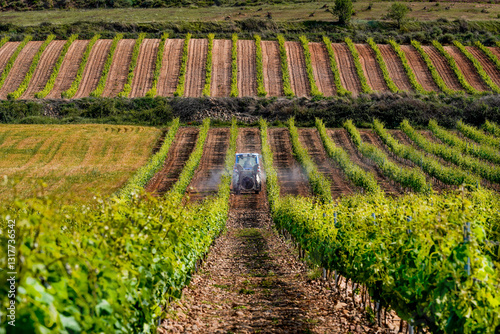 preparing the vineyards for sulfate application