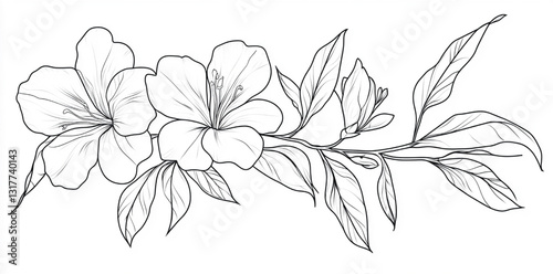Monochrome Botanical Sketch for Digital and Print Use
