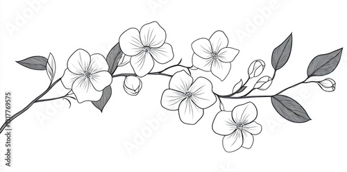 Minimalist Floral Outline with Leaves and Branches
