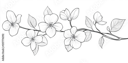 AdobHand-Drawn Floral Line Art on Transparent Backgrounde Illustrator Artwork