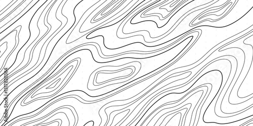 Sophisticated Cartographic Design with Seamless Topographic Linework, Elevation Contours, and Terrain Visualization
