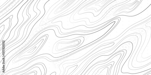 Sophisticated Cartographic Design with Seamless Topographic Linework, Elevation Contours, and Terrain Visualization
