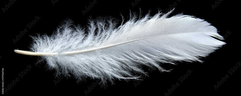 Obraz premium A solitary feather, pristine white, gracefully descends against an endless expanse of black Each delicate barb shimmers in the subtle light, tracing a dance of gravity and air The image captures the