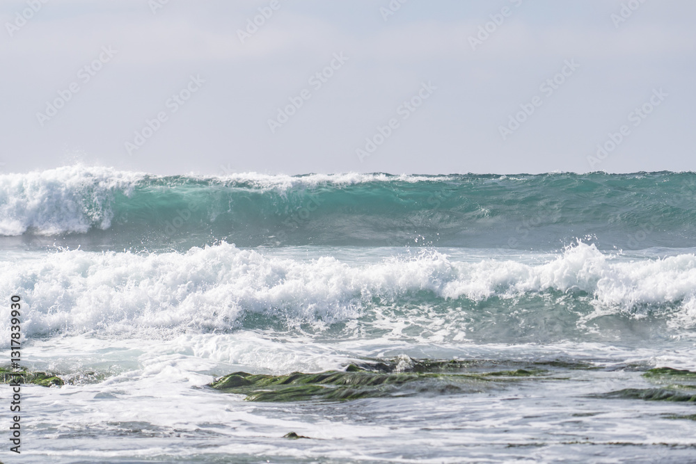 La Jolla Tide Pools, San Diego, California
La Jolla Tide Pools, San Diego, California