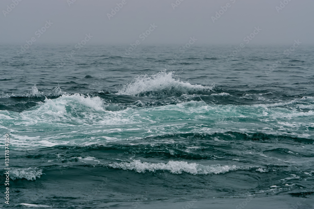 Fototapeta premium 潮流に寄せて砕ける波 20250301-1