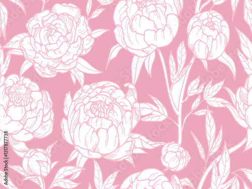 Peony hand drawn pattern on a pink background