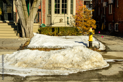 Fire hydrant with piles of melting snow on  the residential street in front of it on a sunny morning in Toronto’s Beaches neighbourhood in March  photo