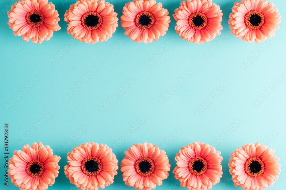 Flat lay of pink gerbera flowers arranged in a frame shape on a turquoise background with copy space. Top view Flat lay of pink gerbera flowers arranged in a frame shape on a turquoise background with copy space. Top view