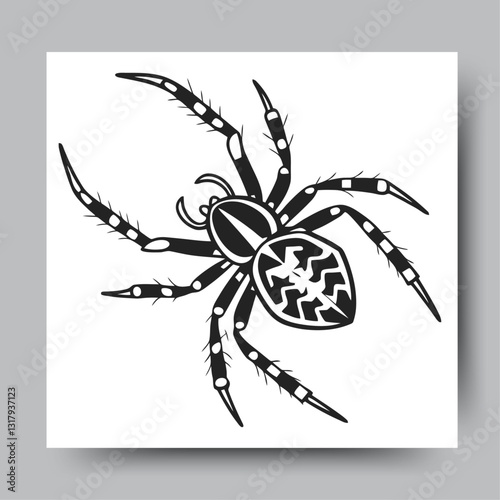 spider and web