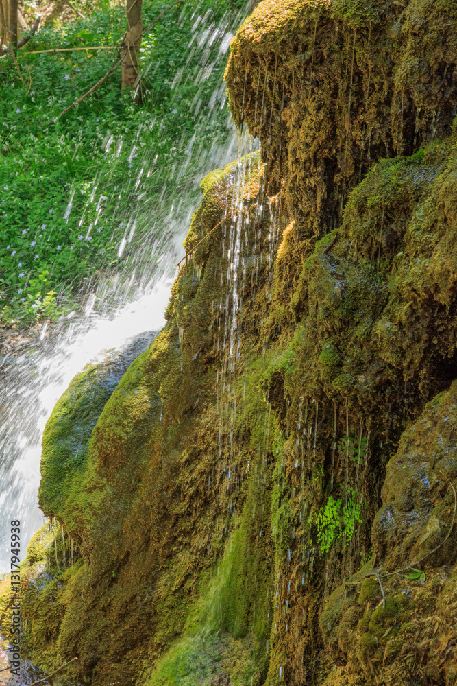 Europe, Spain, Balearic Islands, Mallorca. Small waterfalls.