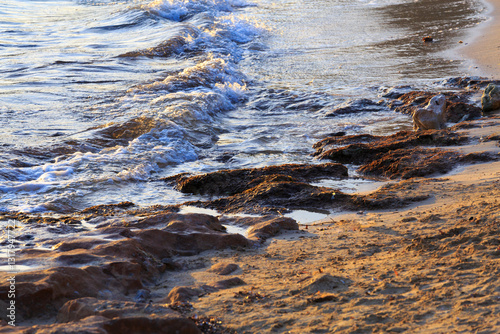 Obraz na płótnie Europe, Spain, Balearic Islands, Mallorca. Porto Colom. Beach waves at sunset. w salonie
