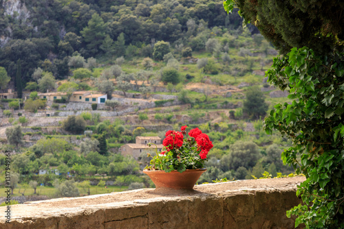 Obraz na płótnie Europe, Spain, Balearic Islands, Mallorca, Valldemossa. The Royal Carthusian Monastery, Real Cartuja. View from grounds. w salonie