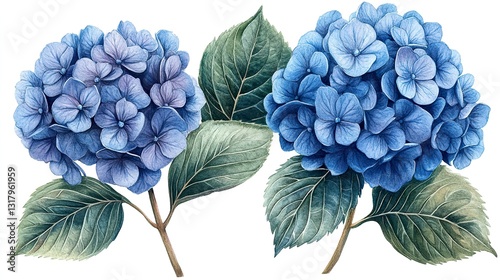 dusty blue hydrangea bouquet clipart isolated watercolor element illustration detailed illustration