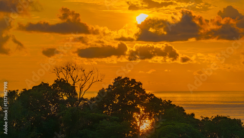 sunset in the sea with tree and birds