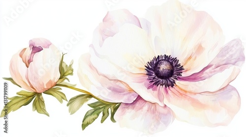 A delicate watercolor illustration of blooming anemone flowers, showcasing soft pastel colors and intricate details.