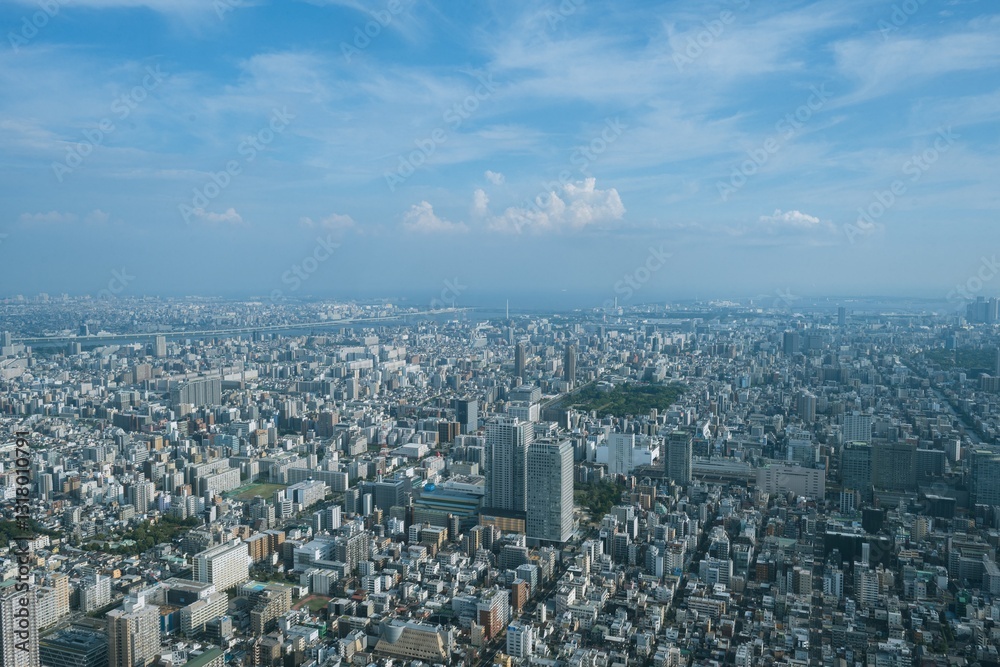 Tokyo city skyline and panoramic view from Tokyo Observatory, Japan, photographed in summer