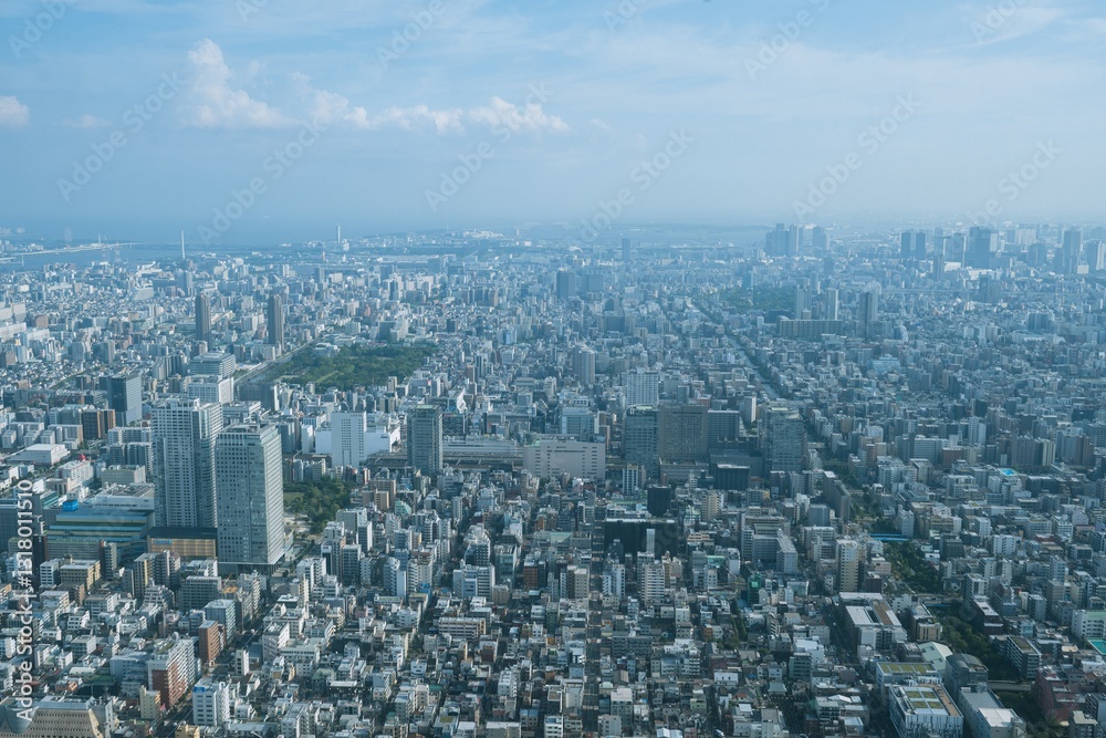 Tokyo city skyline and panoramic view from Tokyo Observatory, Japan, photographed in summer
