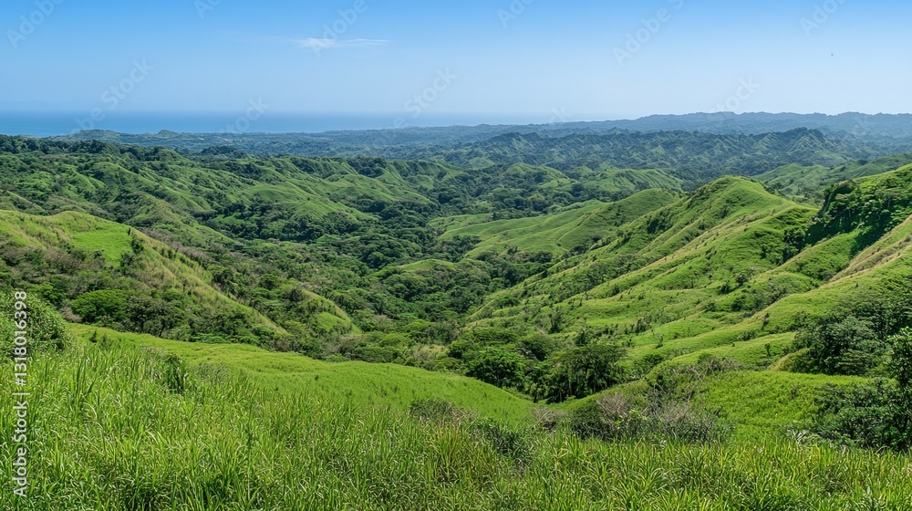 Naklejka premium Panoramic view from the top of a mountain, overlooking lush green meadows and valleys, with clear skies and a serene sense of peace.
