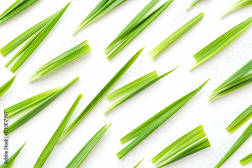 Flatlay of Fresh Green Leaves Spread Evenly on White Background for Vibrant Natural Texture and Culinary Use