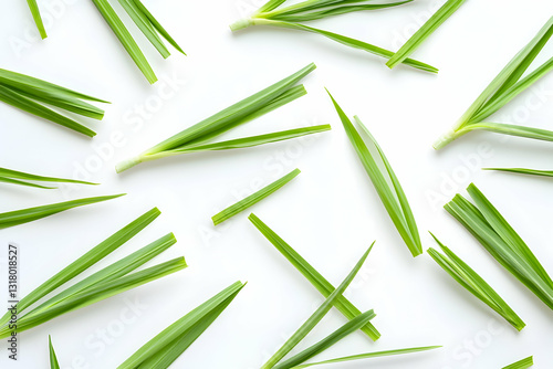Variety of Green Leaves Spread Across a White Surface Creating a Fresh and Natural Aesthetic Perfect for Background or Botanical Design