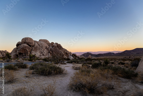 Sunrise in Joshua Tree National Park