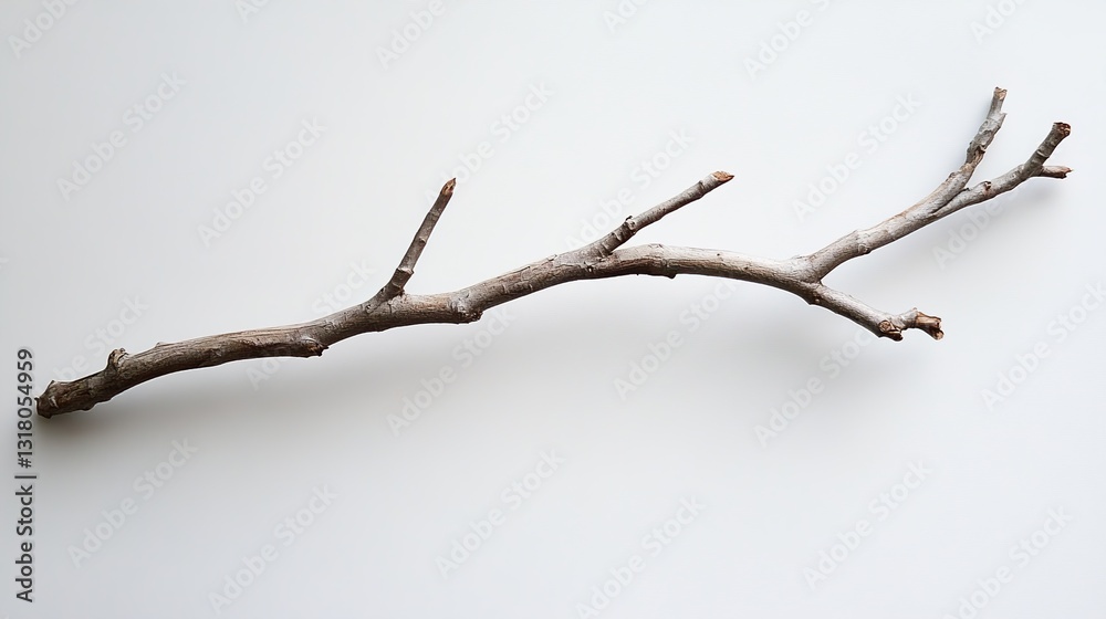 Simple Dry Branch on White Background: Nature Photography Simple Dry Branch on White Background: Nature Photography